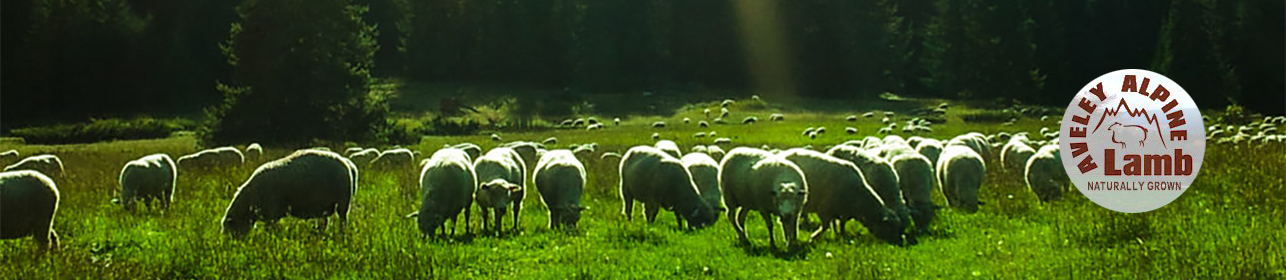 Aveley Alpine Lamb - Naturally Grown